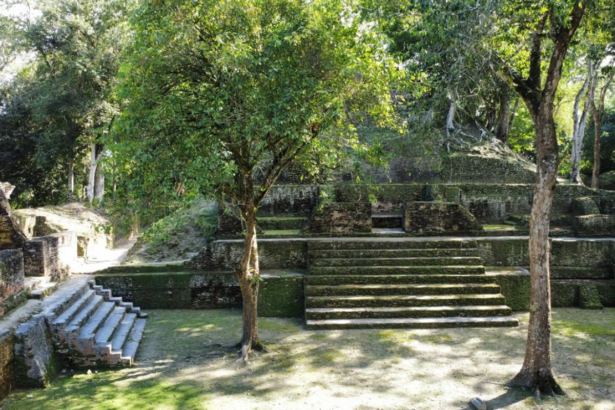 WhatsApp Image 2026-02-10 at 13.24.15